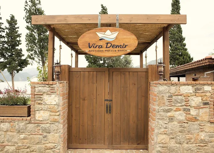 Vira Demir *